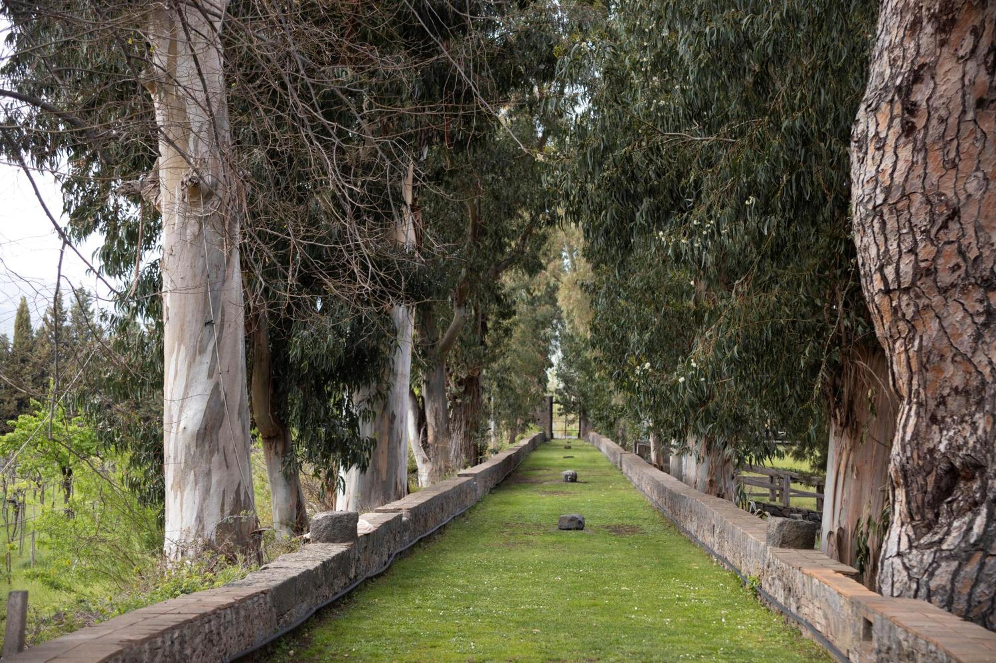 Vila Parco Statella Montelaguardia Exteriér fotografie