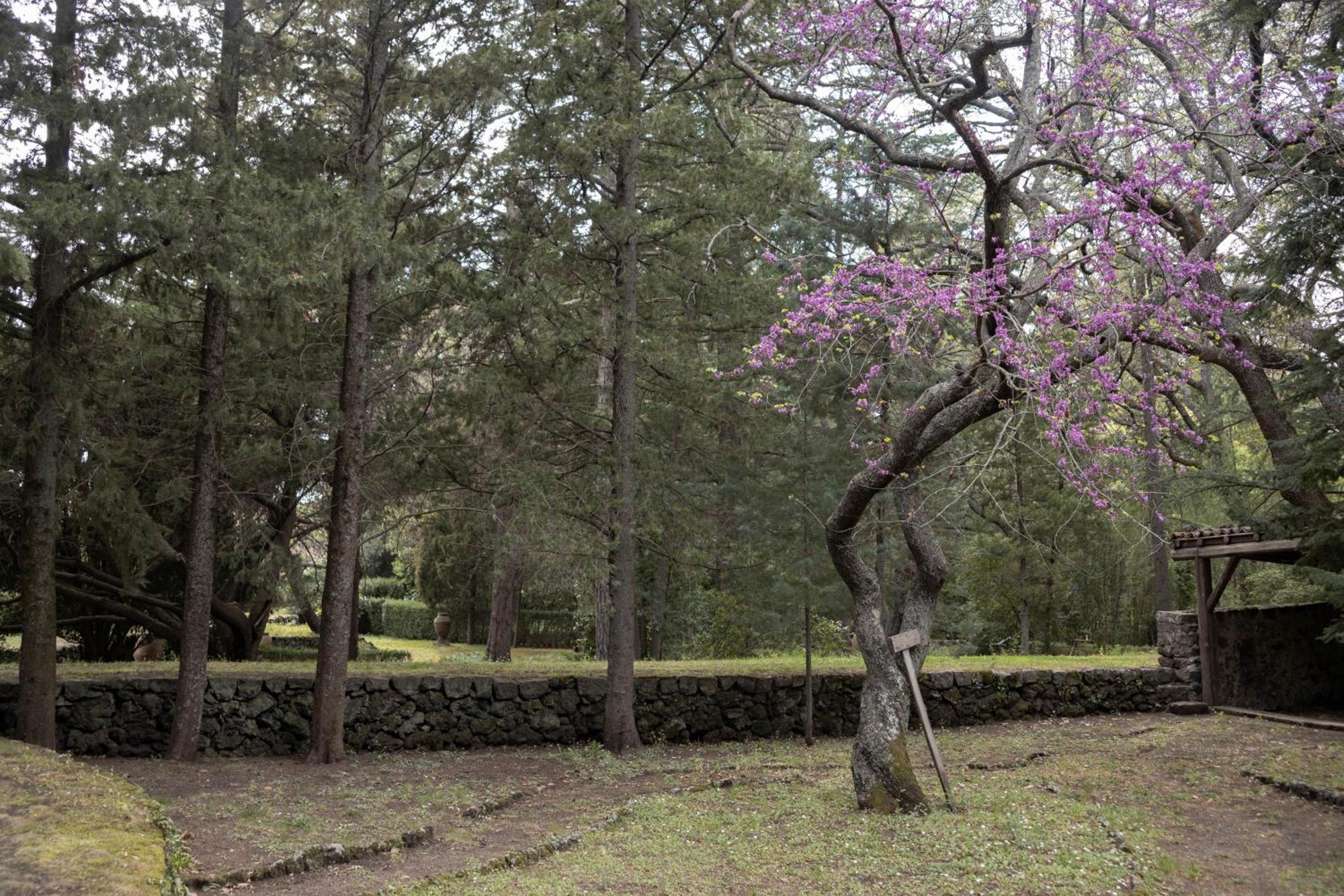 Vila Parco Statella Montelaguardia Exteriér fotografie