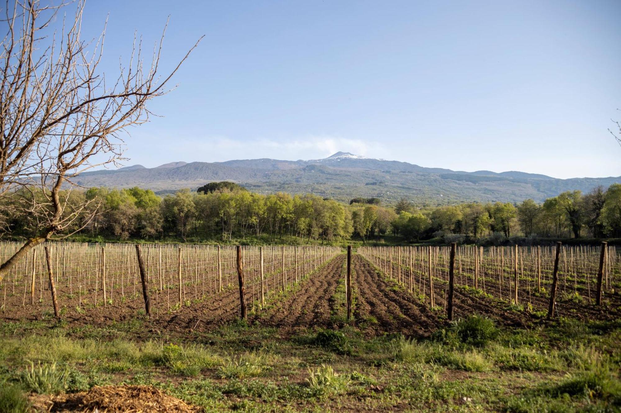 Vila Parco Statella Montelaguardia Exteriér fotografie