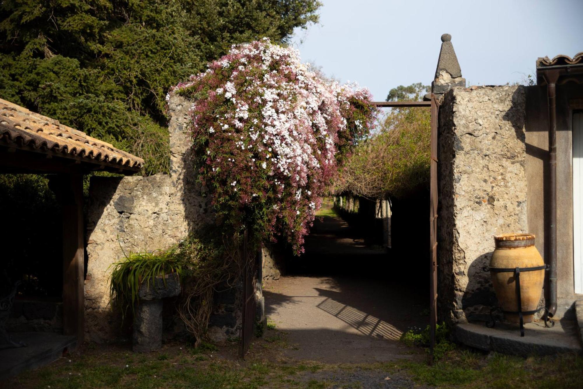 Vila Parco Statella Montelaguardia Exteriér fotografie
